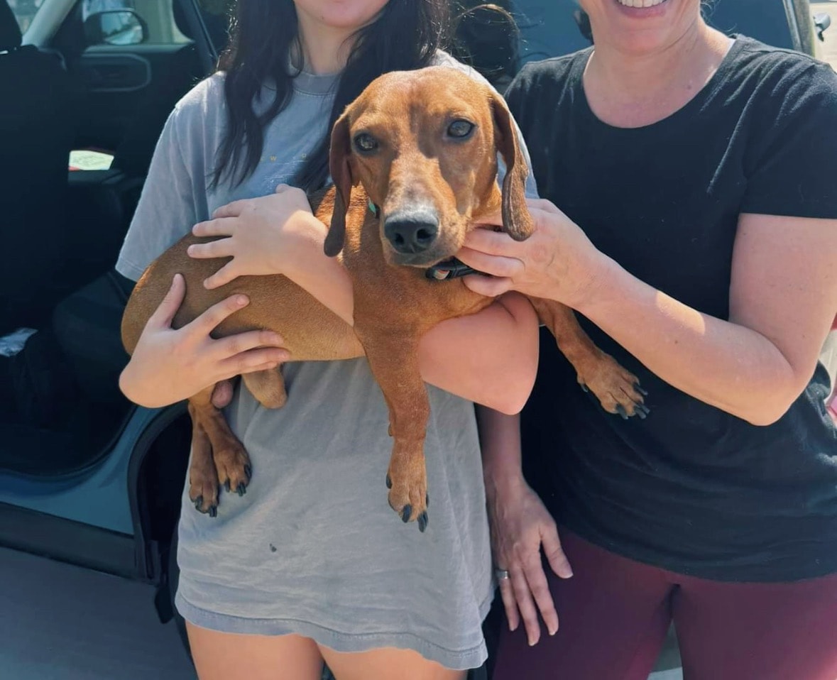 Two women holding brown dog outdoors