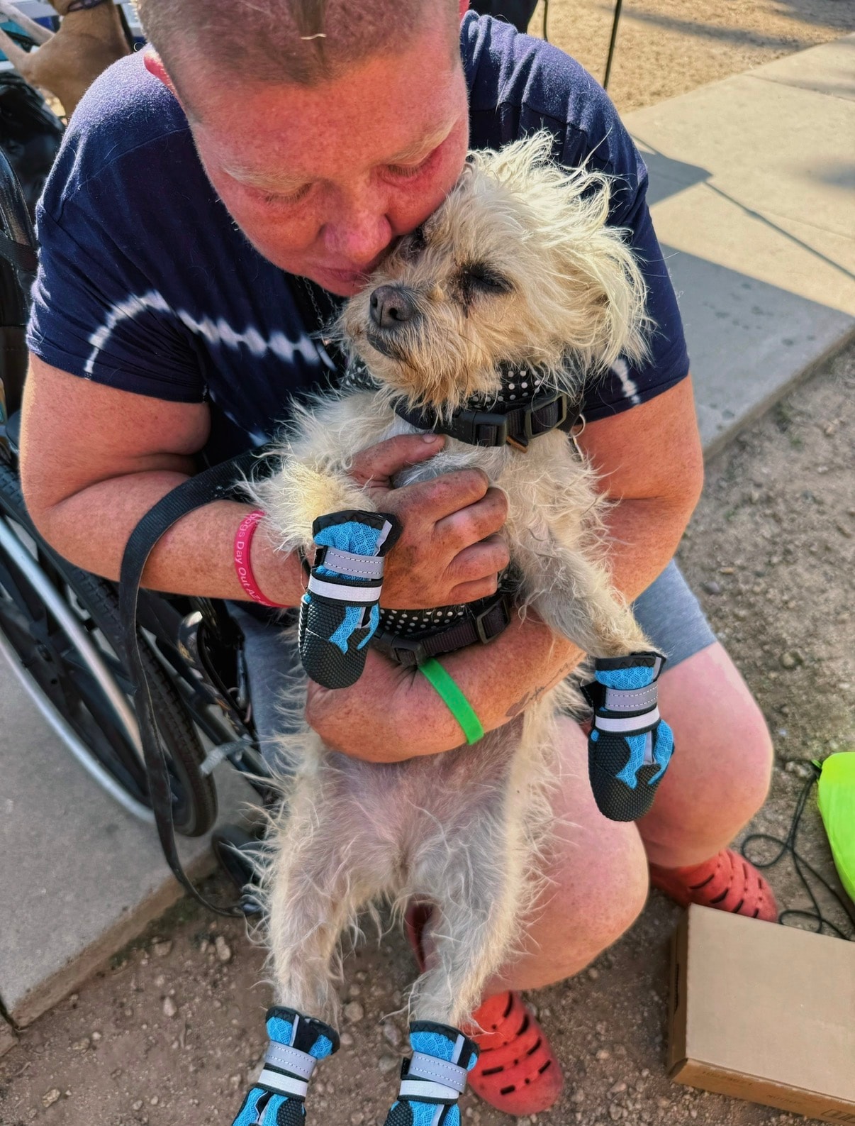 Man holding small dog wearing booties
