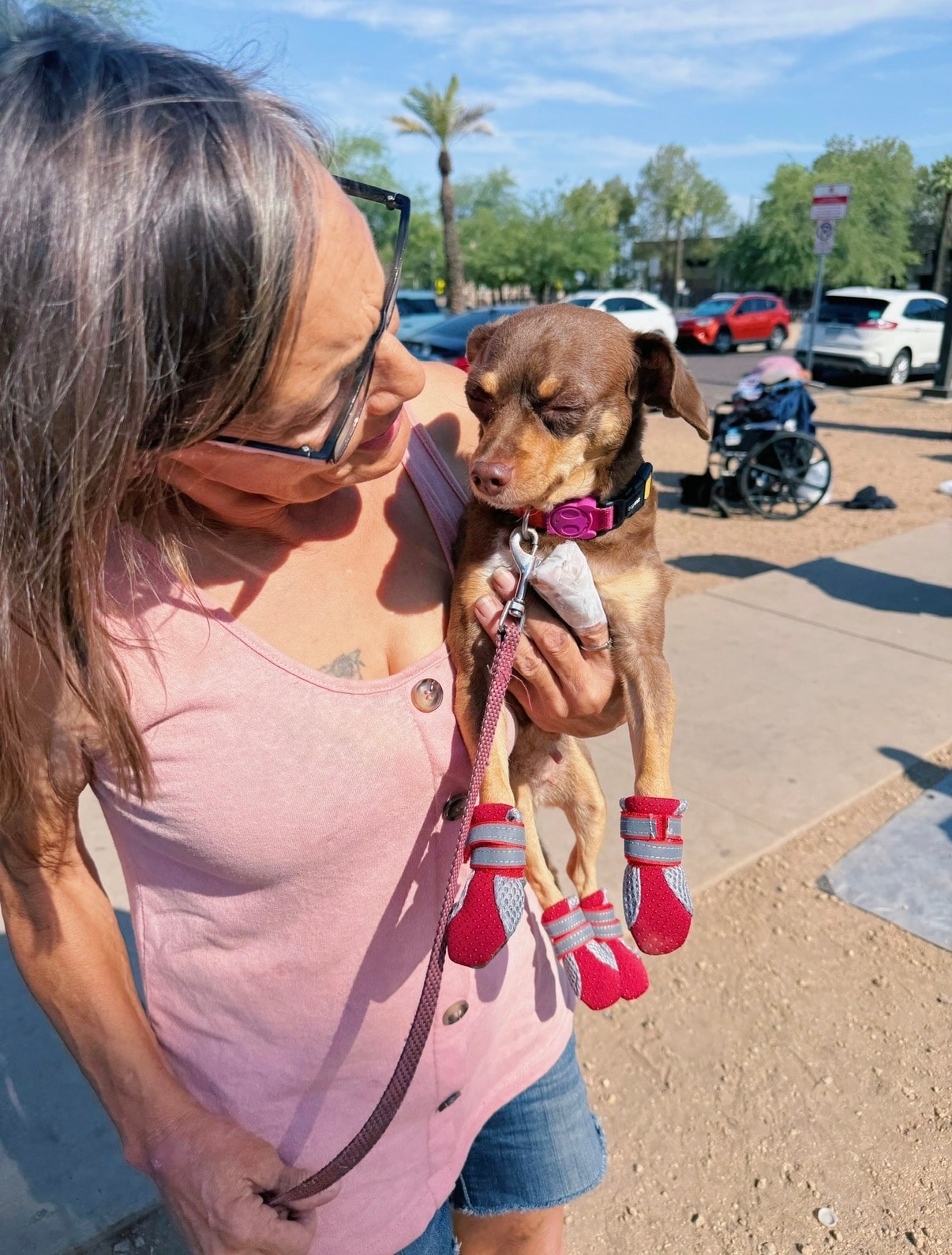 Woman holding small dog wearing booties