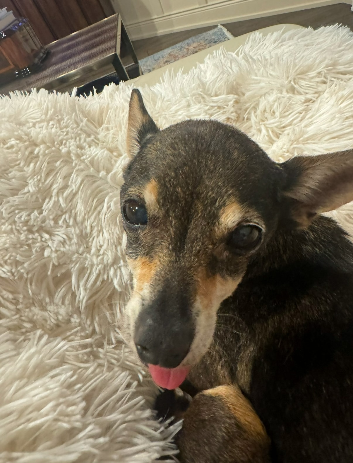 Rosie