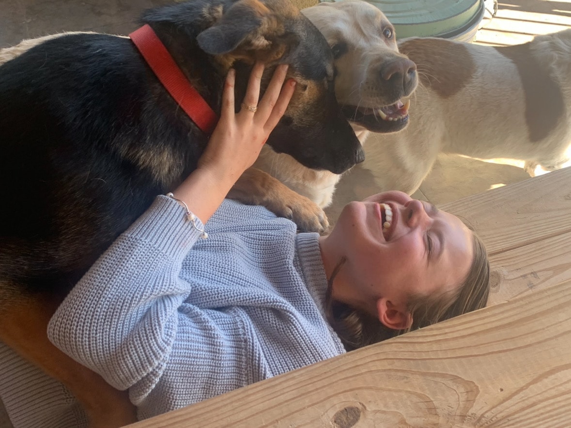 Becoming a Voice for Four-Legged Friends