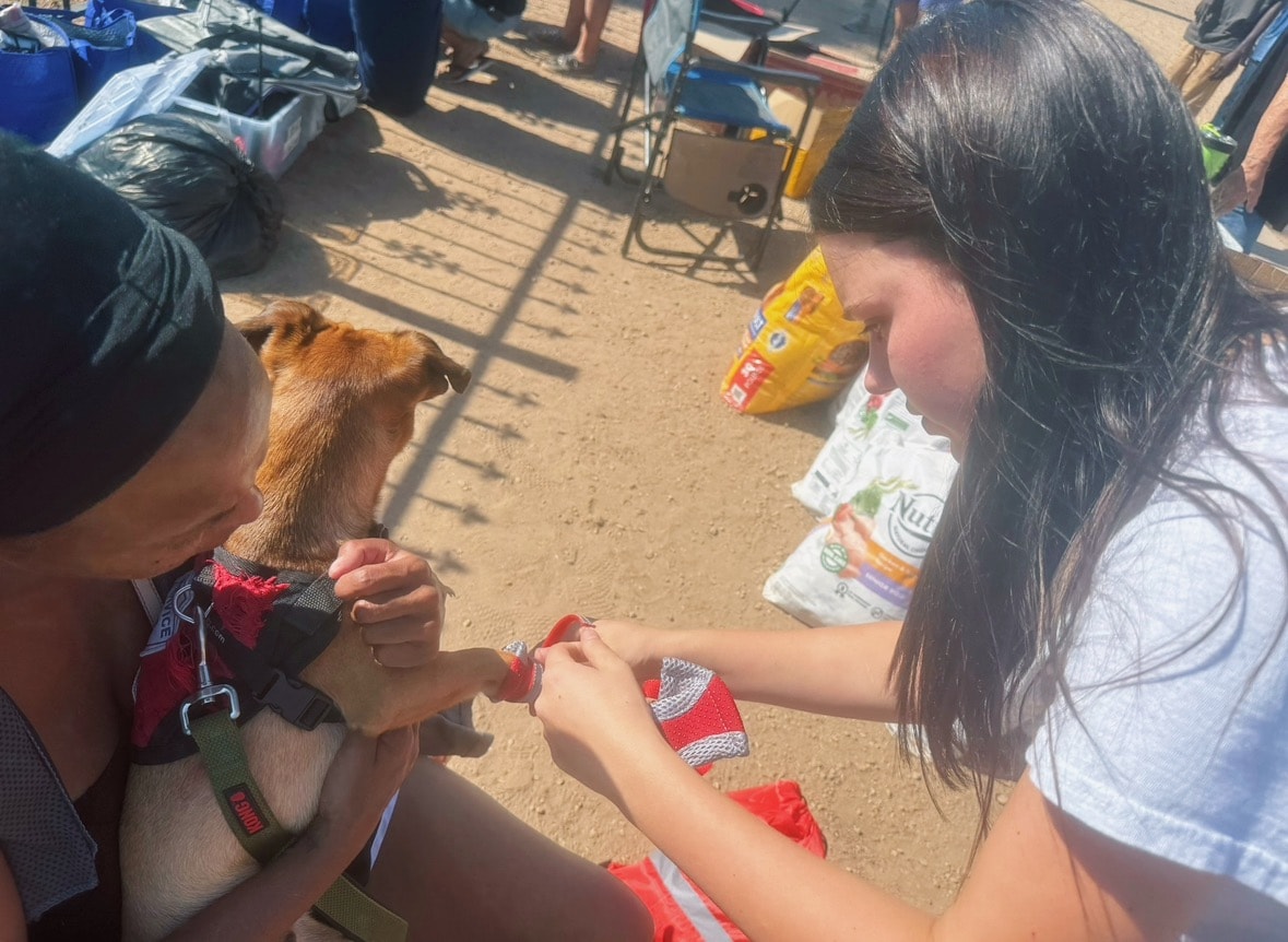 Teen-Led Nonprofit Brings Pawsitive Change to Arizona's Animals in Need