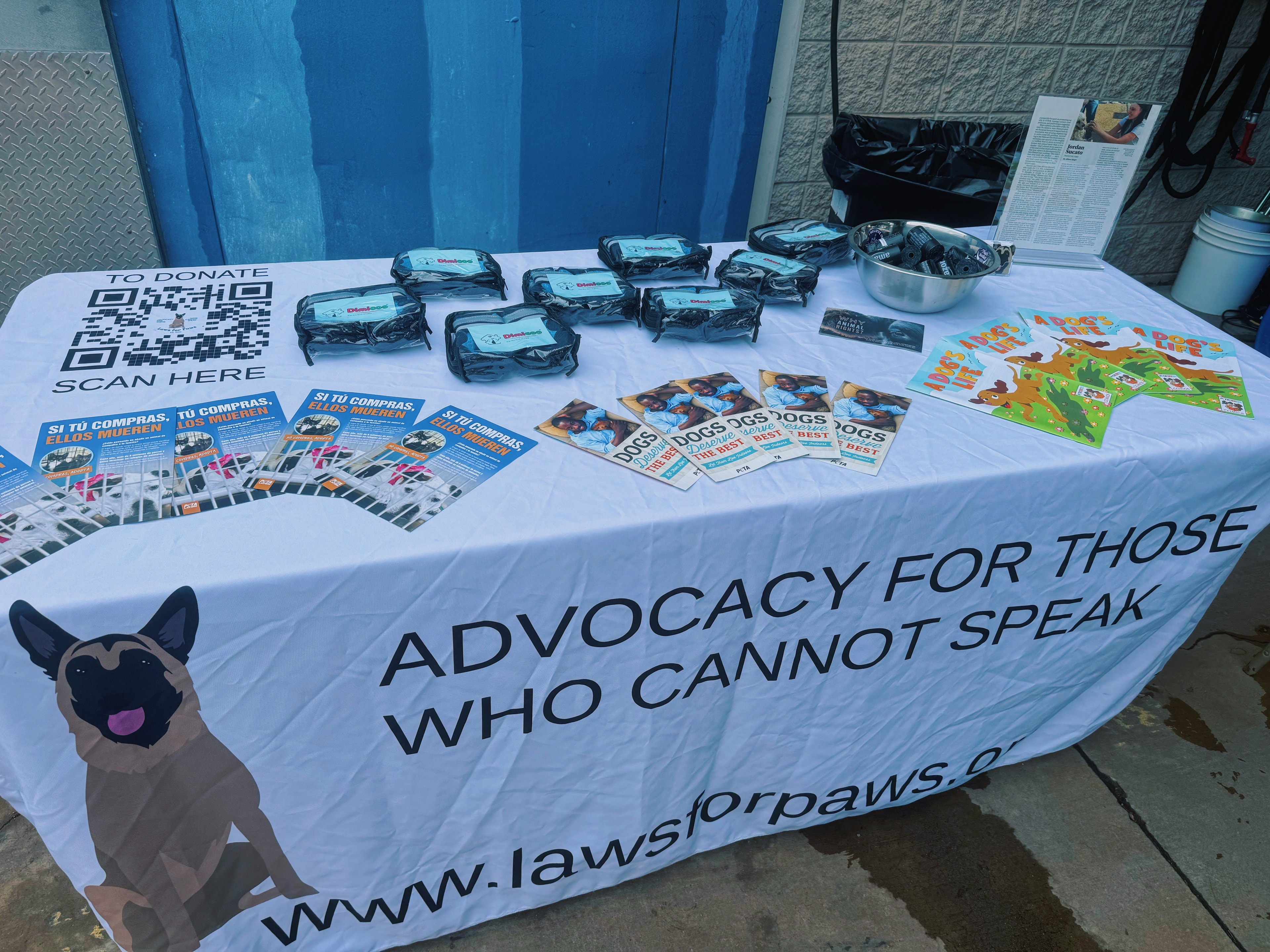 Laws for Paws — Bear's Boots Campaign